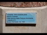 08697 ostia - museum - raum re - venus (venere tipo doidolsas) - schild.jpg